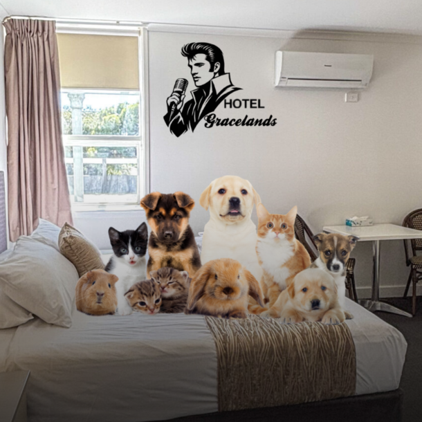 Best Pet-Friendly Hotels in Parkes